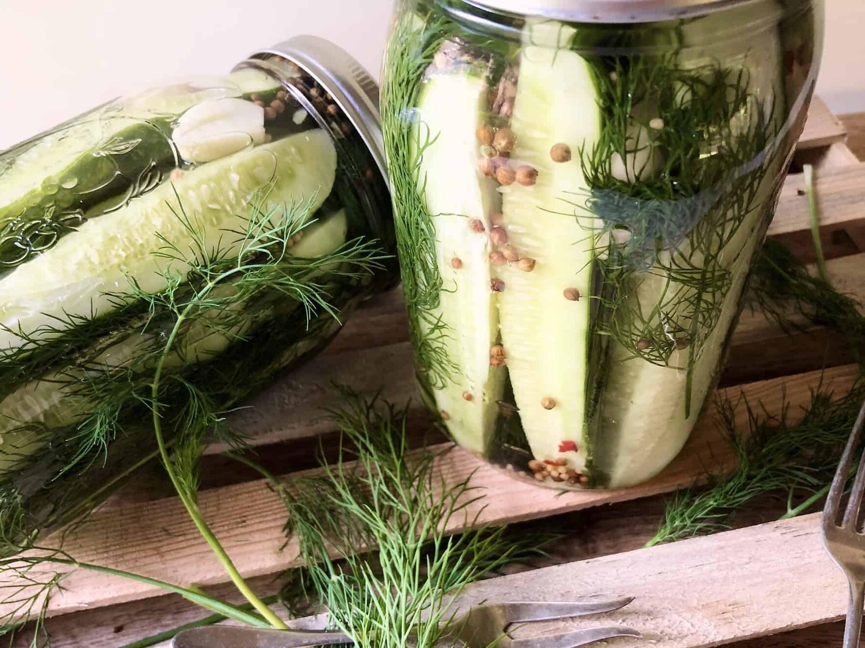 refrigerator-dill-pickles-recipe